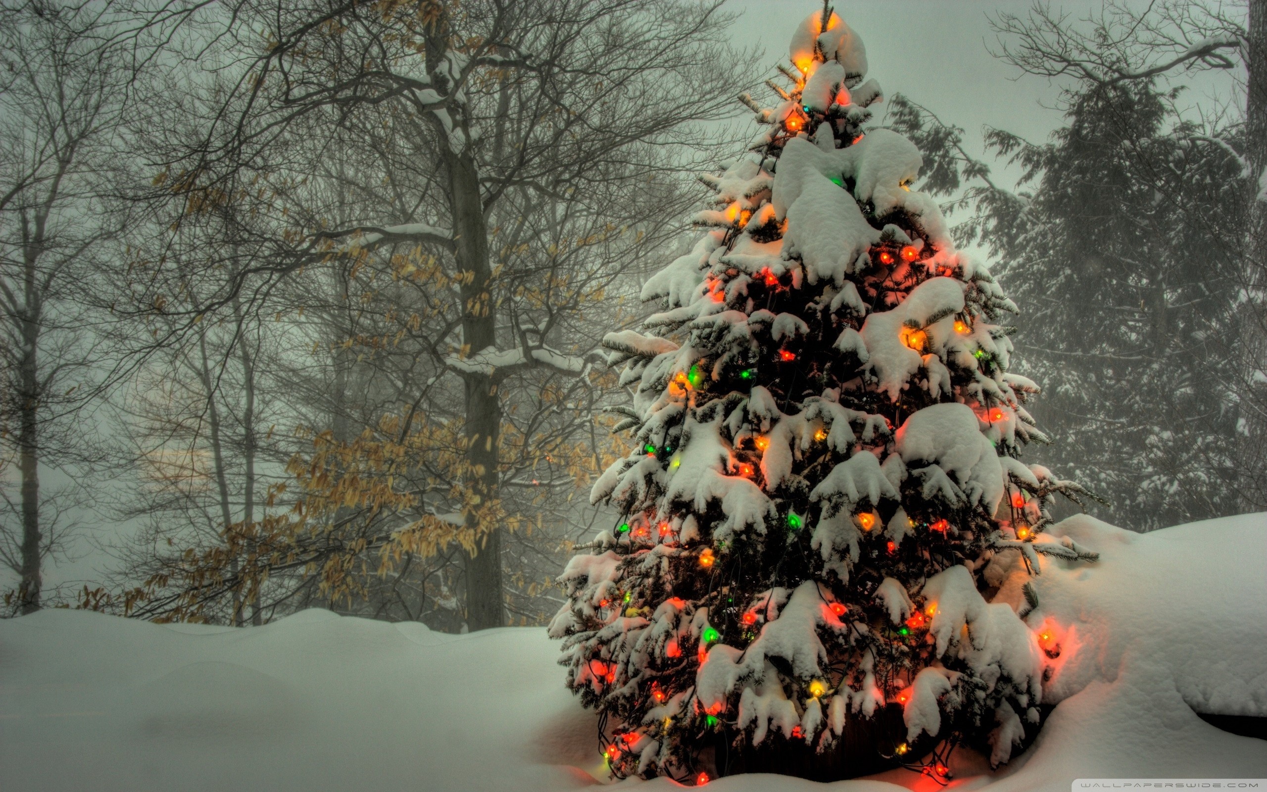 Christmas Tree Wallpaper Full HD