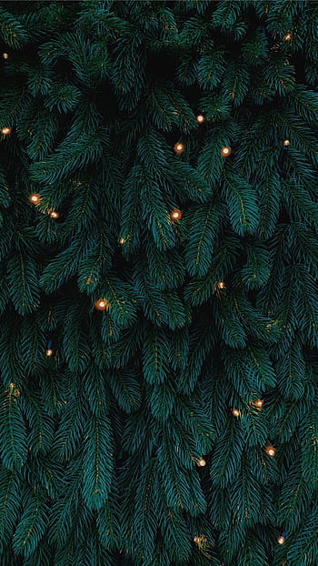 Christmas Tree Wallpaper Full HD