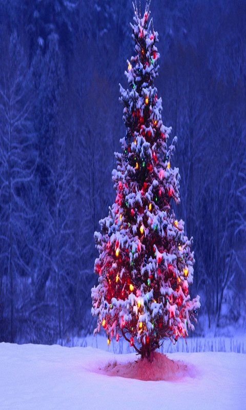 Christmas Tree Wallpaper Full HD