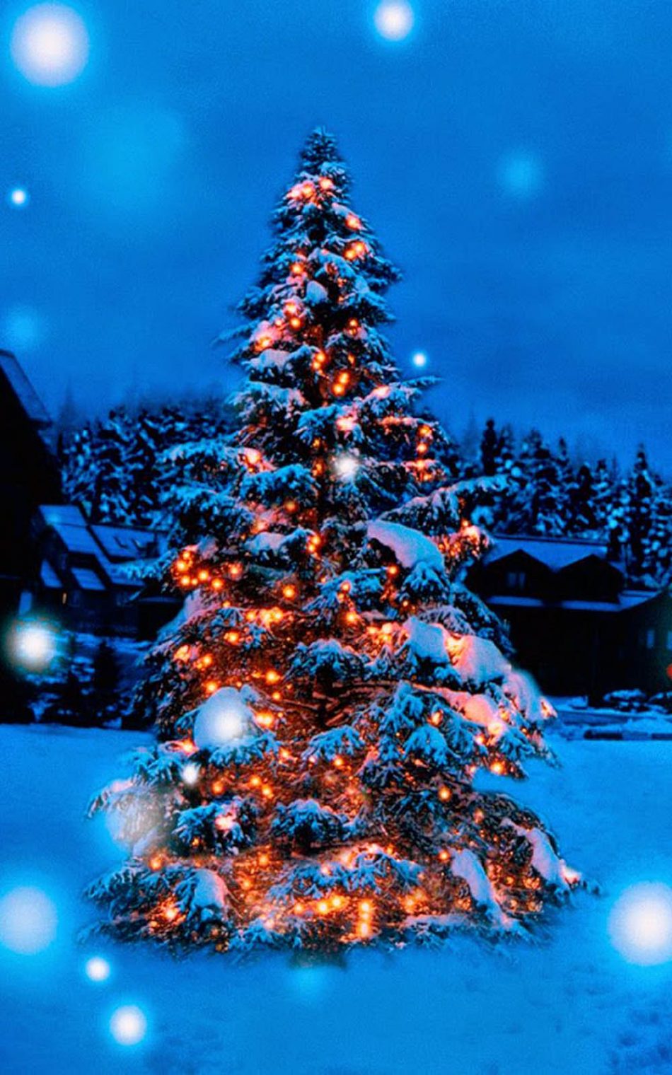 Christmas Tree Wallpaper Full HD