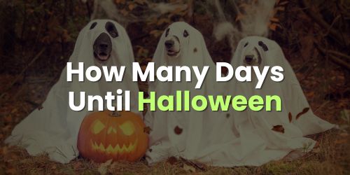 How Many Days Until Halloween