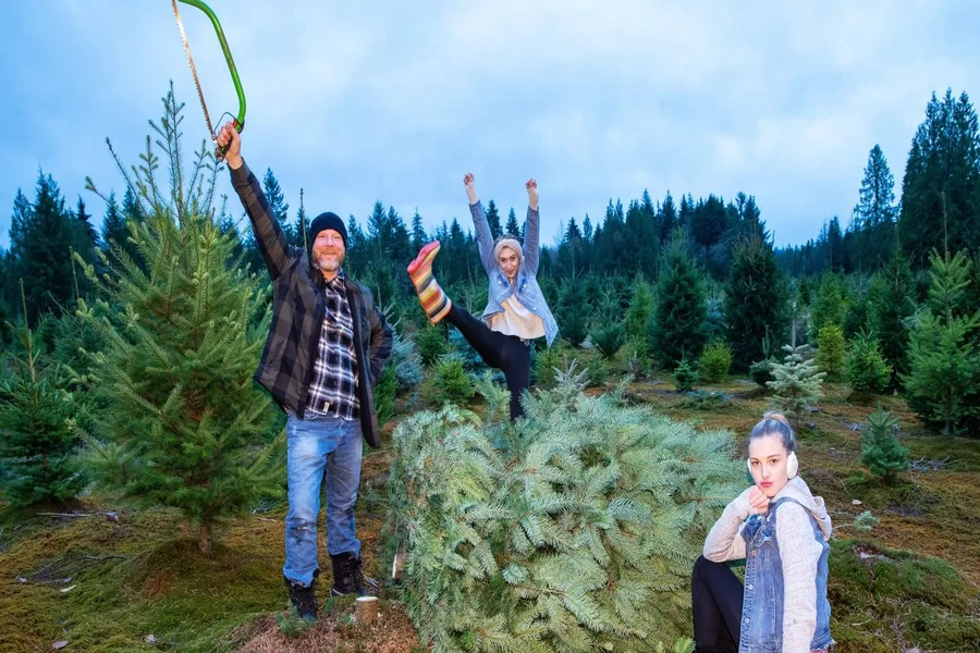 Sustainable Christmas Trees: Safe & Eco-friendly Artificial Options